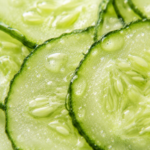 Cucumber