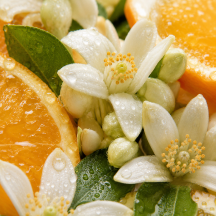 Jasmine & Orange Blossom